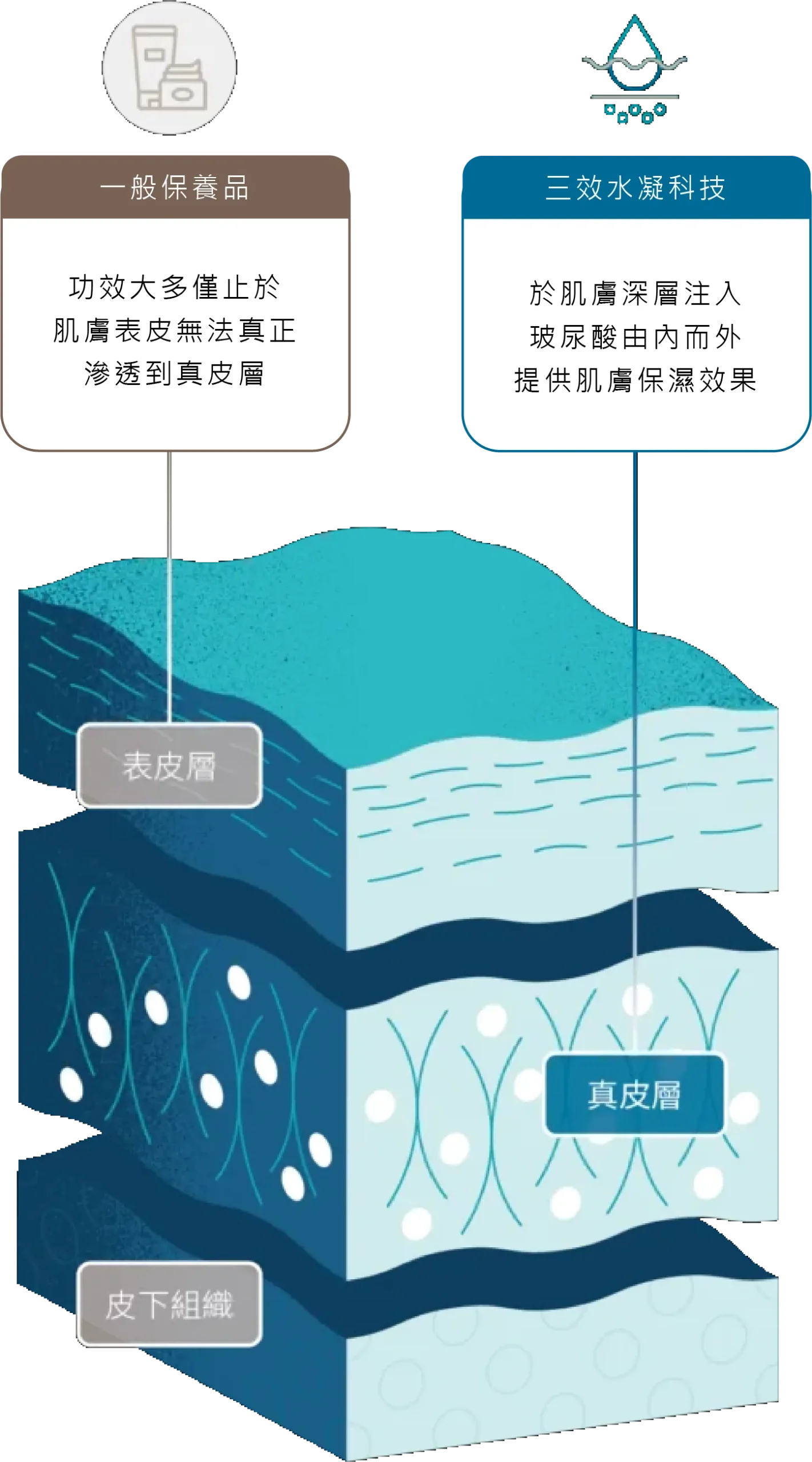 Skinvive 一般保養品與三效水凝科技比較圖，顯示一般保養品僅作用於表皮層，而三效水凝科技能將玻尿酸深層注入真皮層，由內而外提供肌膚保濕效果。